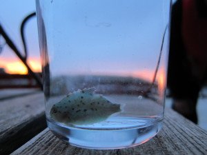 IMG_8802