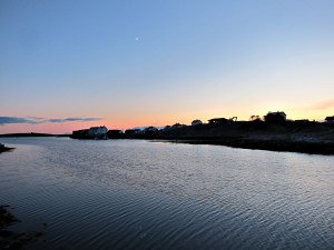 IMG_8972