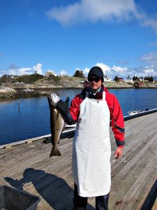 IMG_8995