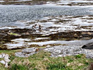 IMG_9030