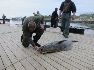 IMG_9086