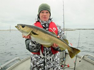 IMG_9113