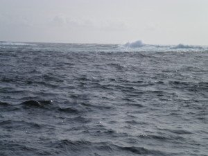P4120077