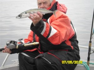 SAM_0434