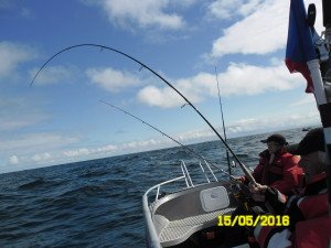 SAM_0453