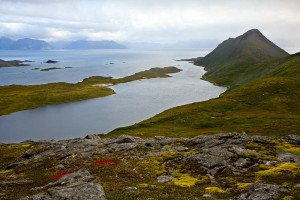 hasfjord_0035