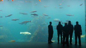 20160530_150436[1]