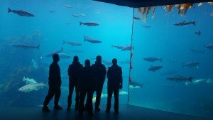 20160530_150448[1]