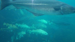 20160530_150705[1]