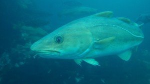 20160530_150735[1]