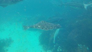 20160530_150819[1]