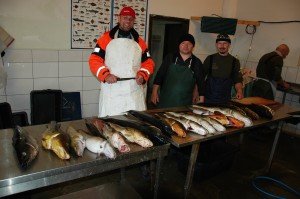 DSC_2892 - kopie