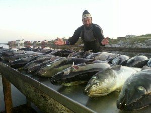 IMG-20160612-WA0002