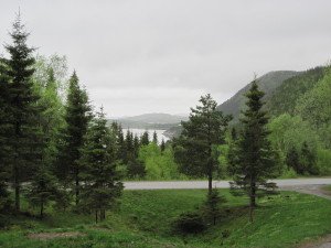 IMG_0003