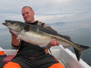 IMG_0122