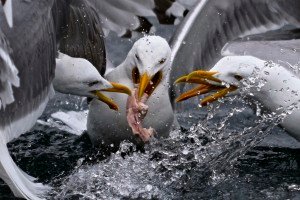 IMG_0614-Version-2-2