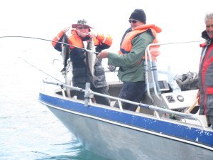 IMG_0812