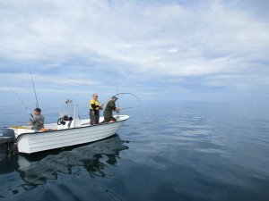 IMG_1047