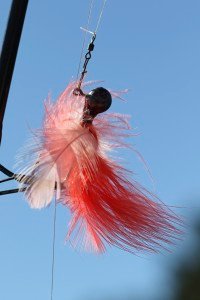 IMG_1211