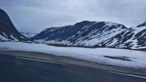 IMG_20160609_122206[1]