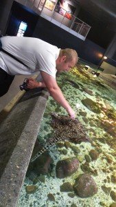 IMG_20160609_160058[1]