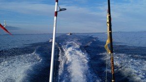 IMG_20160613_212238[1]