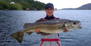 IMG_20160622_122744