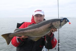 IMG_4856