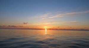 IMG_5406