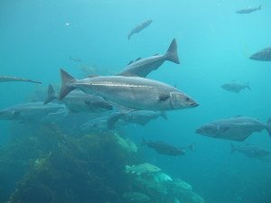 IMG_5992