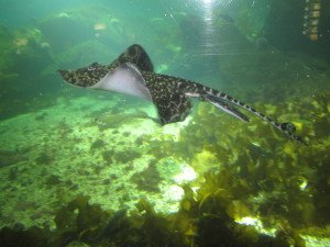 IMG_6004 - kopie