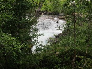 IMG_6026