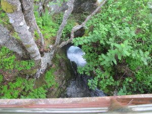 IMG_6028