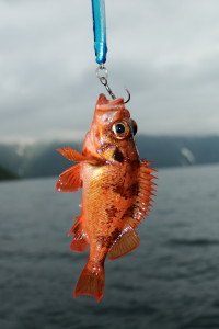 IMG_6038