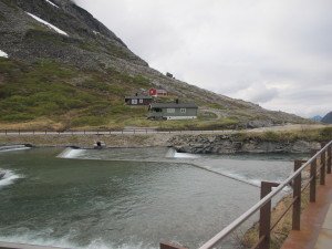 IMG_6043