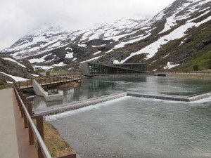 IMG_6044