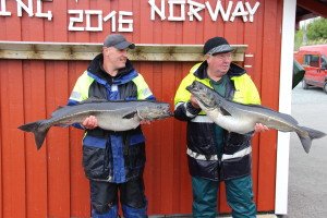 IMG_6920