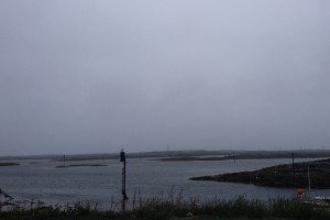 IMG_8871