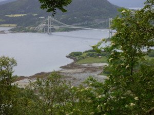 P1000125
