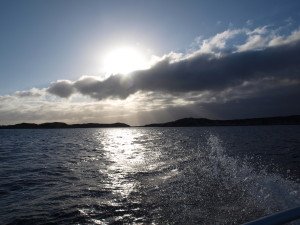 P6037302