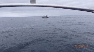 P6120008
