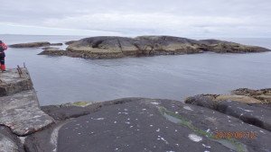 P6120027