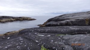 P6120060