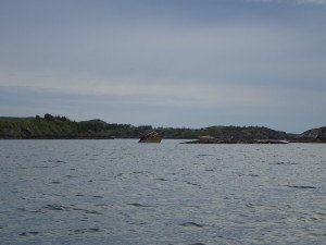 P6260466