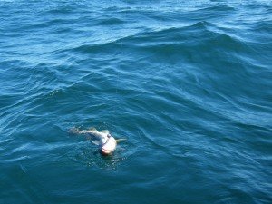 small_DSCF5696