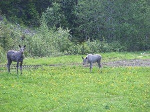 small_DSCF6062