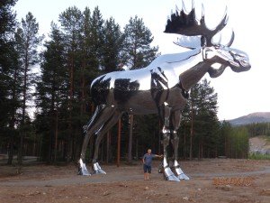 small_P6010130