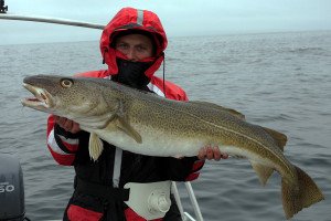 treska117web