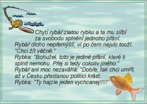 zlata_rybka-2
