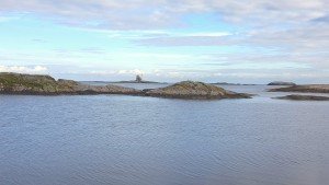20160727_074334-1